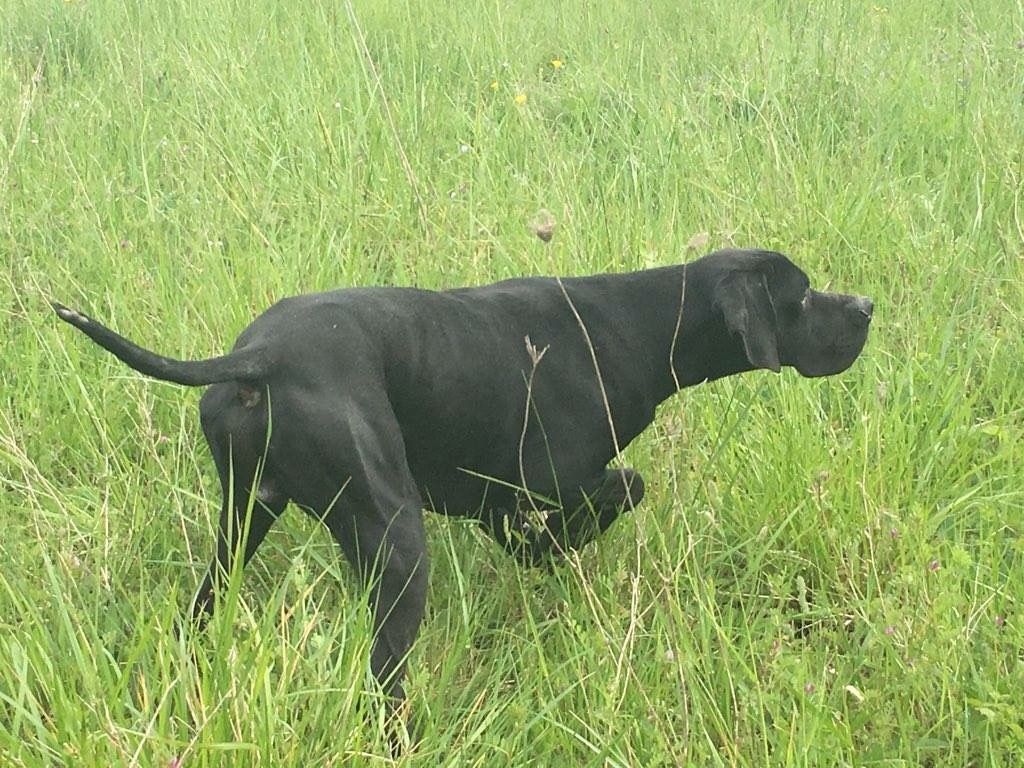 Murphy De La Source Aux Perdrix