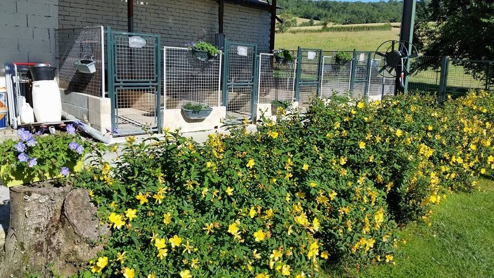 Nos installations